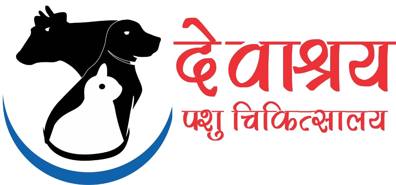 DAH Logo